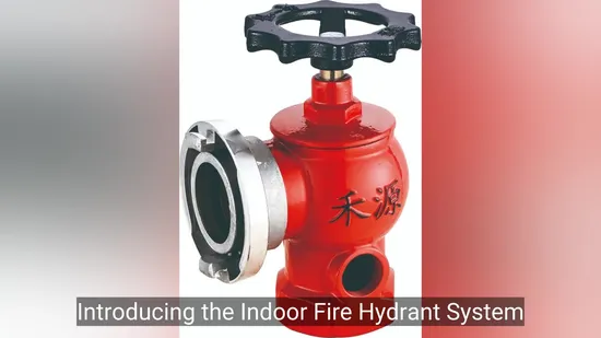 China Fire Factory Direct Sales Iron Fire Hydrant Indoor Fire Hydrant with Rotating Decompression Stable 