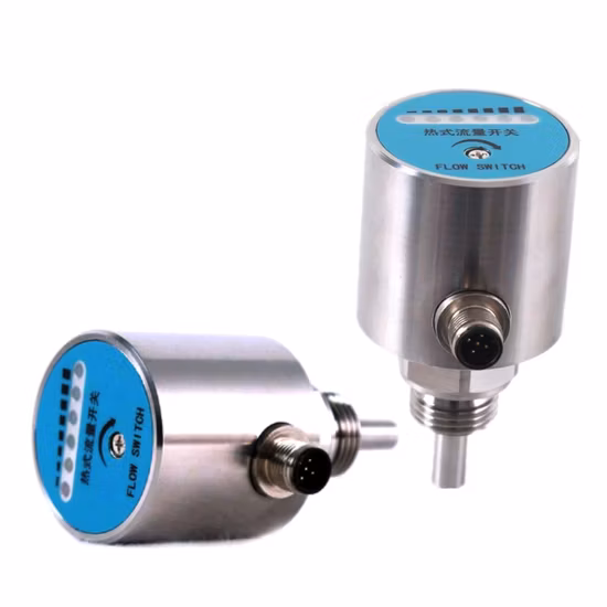 Thermal Flow Switch Water Flow Stainless Steel Fire
