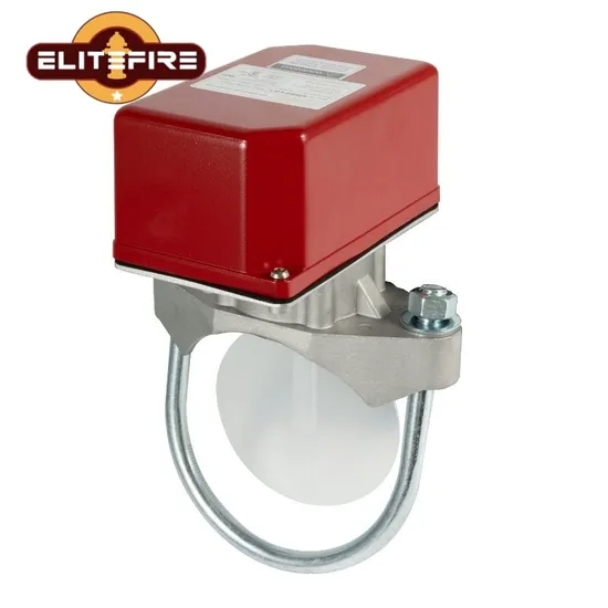 FM Approved Vane Type Water Flow Switch