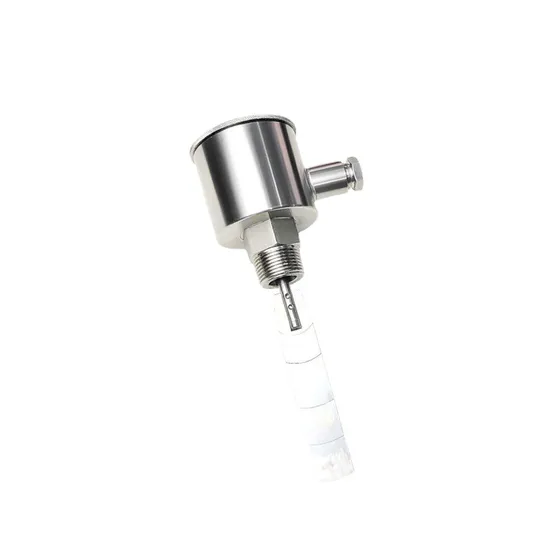 Ex Stainless Steel Mechanical Paddle Type Water Flow Switch for Fire Protection 